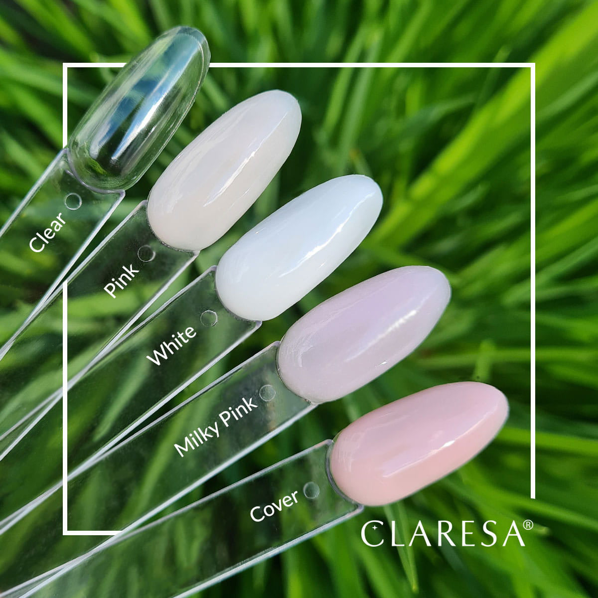 CLARESA COVER GEL 15g