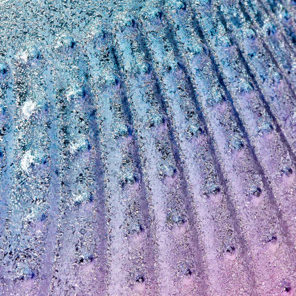 Dust extraction brush Shell