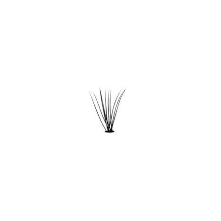 Natural Long PREMIUM FLARE SILK LASHES flares