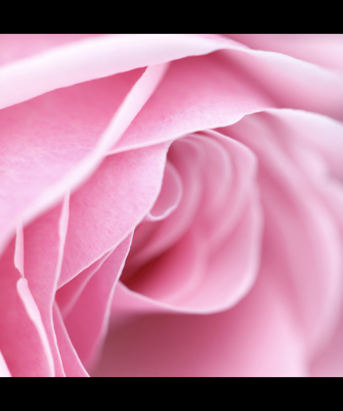 ROSE TONIC - Komfortní vyvážení