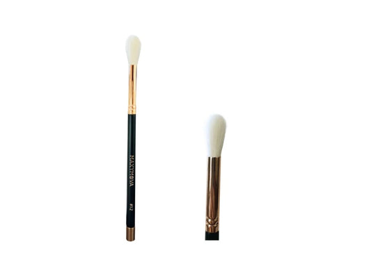 Maxymova magnetic brush No. 12