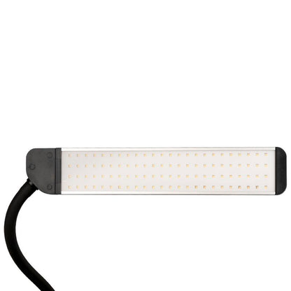 LED lampa na řasy a make-up Polluks II typ msp-ld01