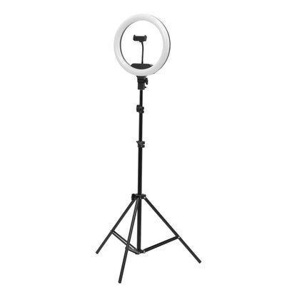 ActiveShop 13 inch 36W LED Ring Light with stand