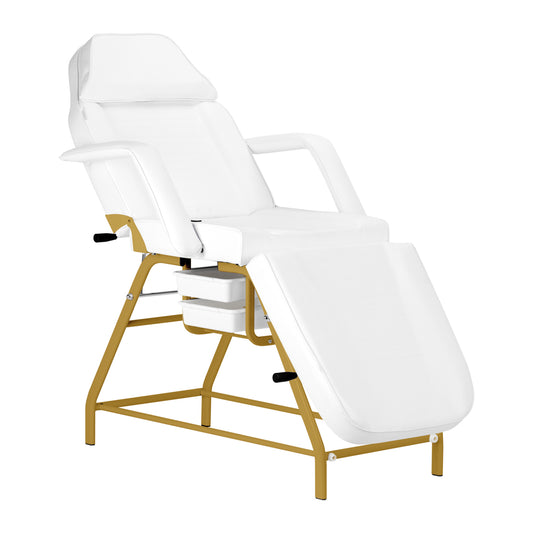 557G cosmetic chair with gold and white cuvettes