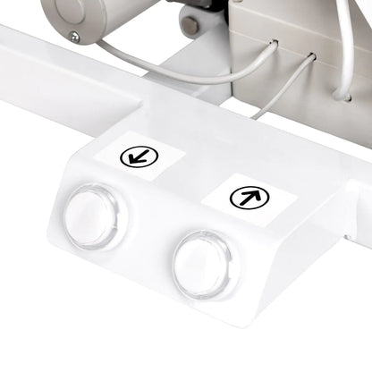 Electric grooming table P4W 3 with lighting, white