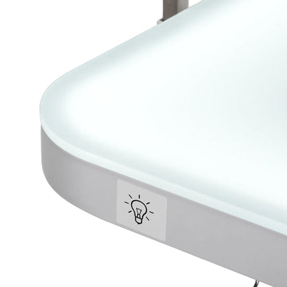 Electric grooming table P4W 3 with lighting, white
