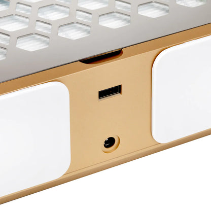 Staubabsauger Momo P30 60W weiß-gold