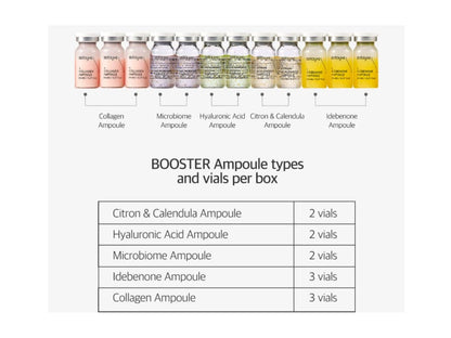 Stayve BB Glow Booster Idebenon Ampulle (12 × 8 ml)