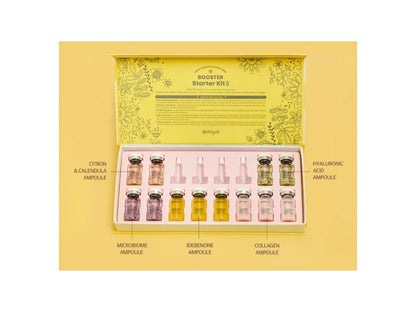 Stayve BB Glow Booster Idebenon Ampulle (12 × 8 ml)