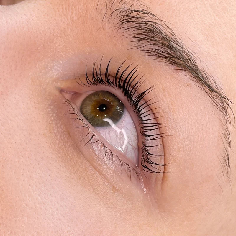 Lash & Brow Lift Kit