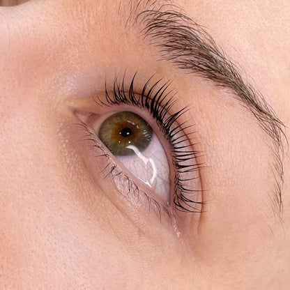 Lash & Brow Lift Kit
