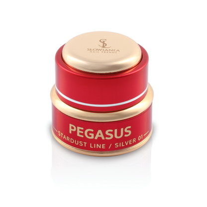 SLOWIANKA Zrcadlový efekt 01 Pegasus Silver 2g prášek