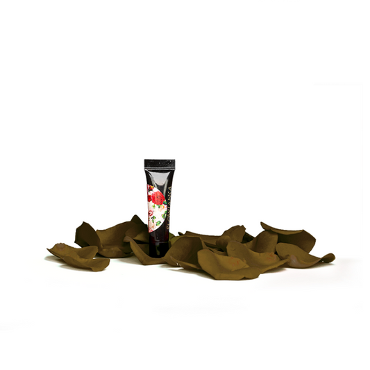 SLOWIANKA Arter Forest Brown Paint 5g