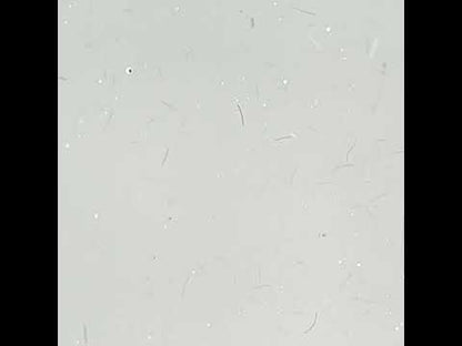 SLOWIANKA Easy leveling Ivory Pale Skin Fiber Builder Gel 10 g