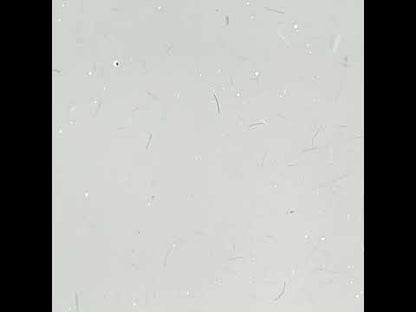 SLOWIANKA Fiber Builder Gel pro snadné vyrovnávání hnědý krycí nátěr v lahvičce 10g