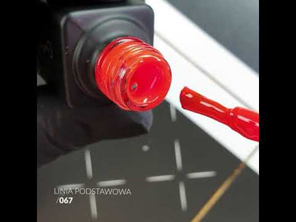 SLOWIANKA 67 gel polish 10g