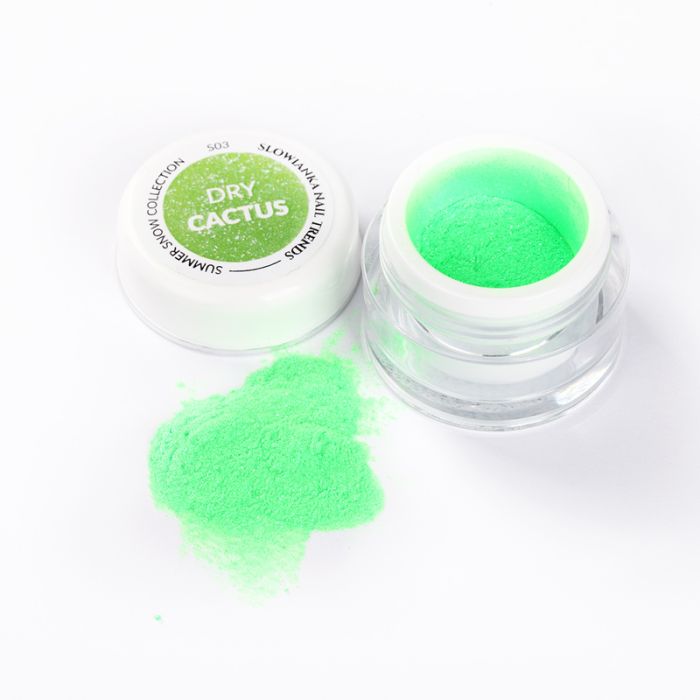 SLOWIANKA Letní sníh S03 Sušený kaktus 2 g prášek