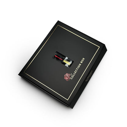 SLOWIANKA Collection Box Wonderland II